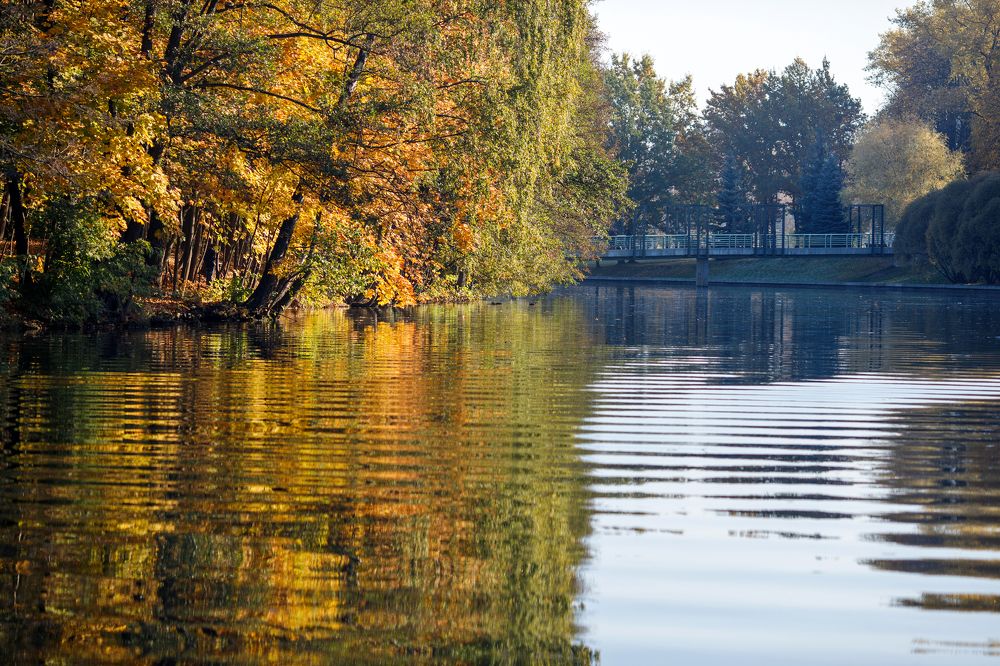 Фотография автора Гудкова Светлана