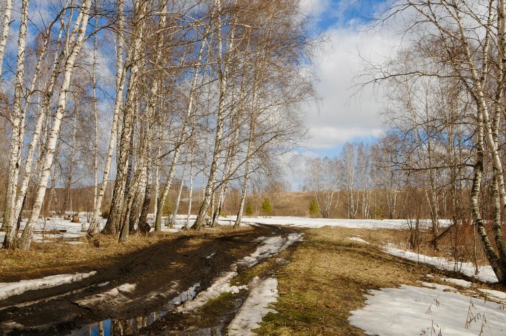 Весна пришла