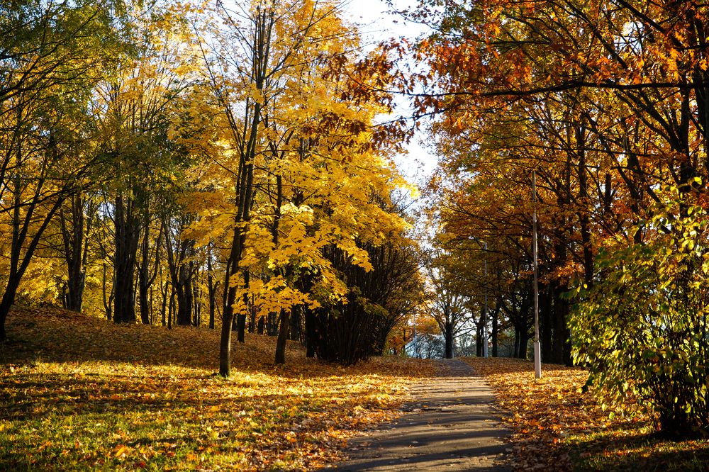 Фотография автора Гудкова Светлана