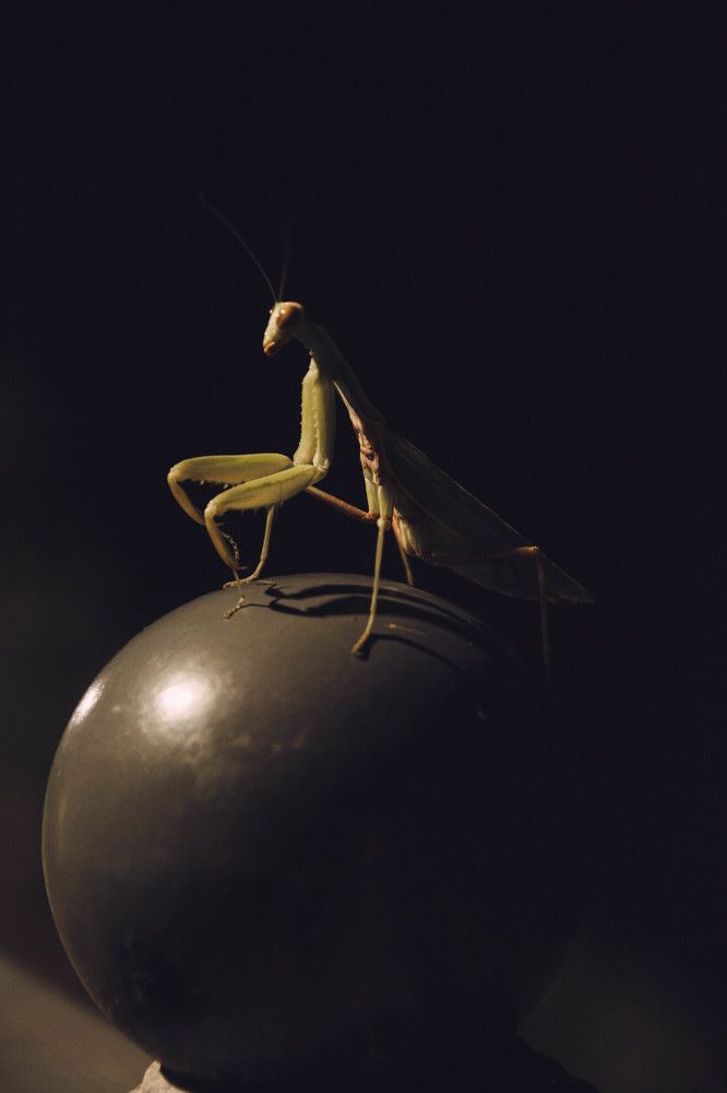 Photograph by Мария Неустроева