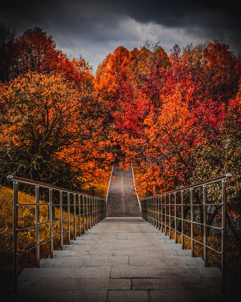 Фотография автора Алина Черняева