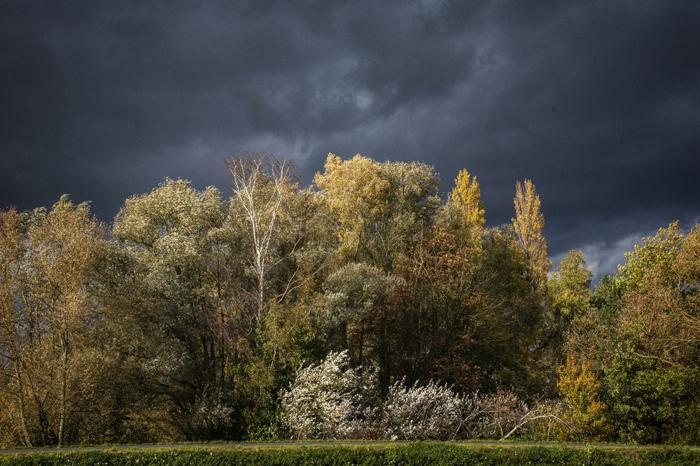 Photograph by Jacky Weckx