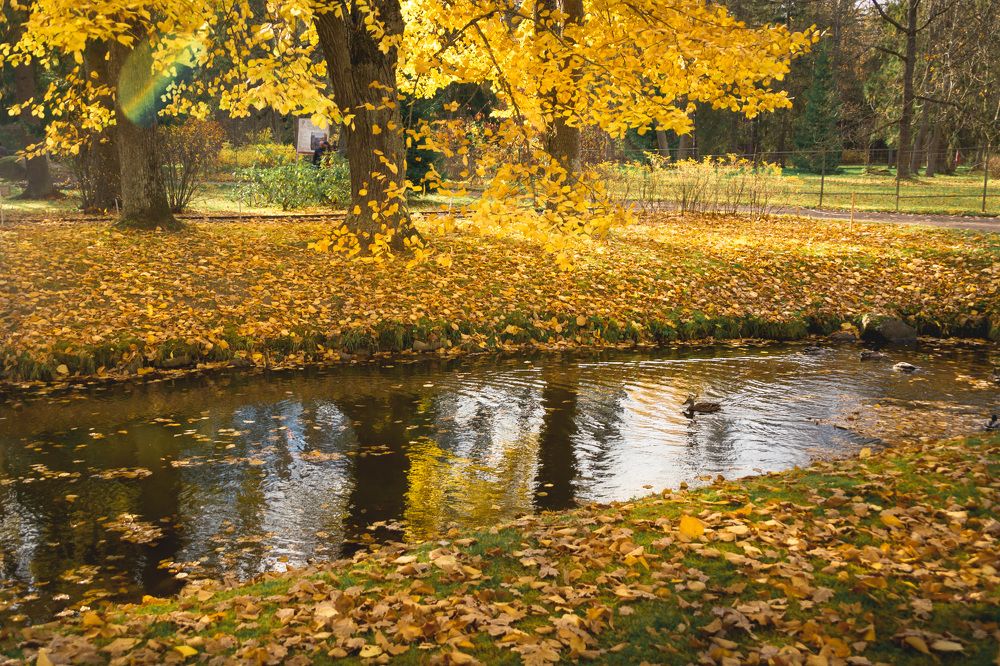 Photograph by Светлана Гонская