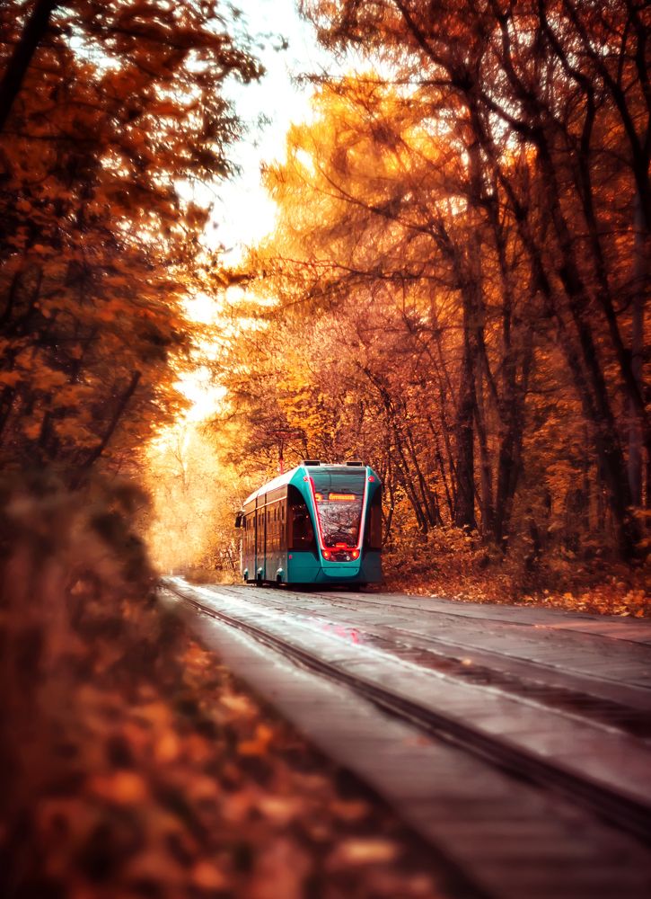 Photograph by Ксения Базарова