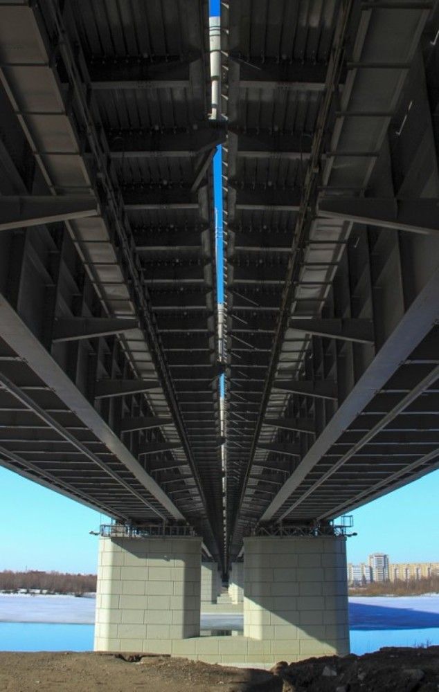 Фотография автора Светлана Дубина