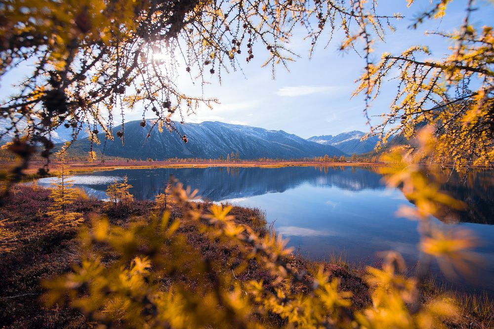 Photograph by Владимир Кочкин