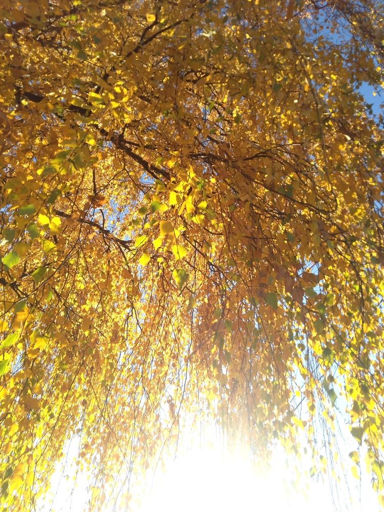 Photograph by Елена Малкова