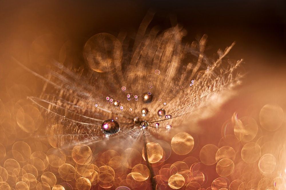 Photograph by Александра