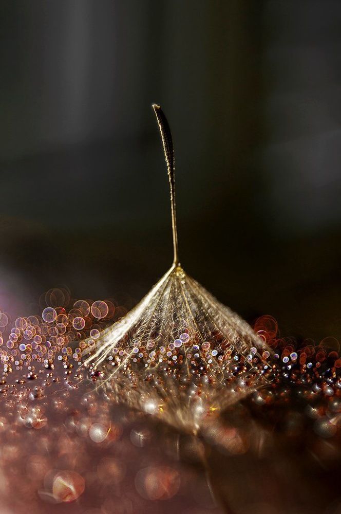 Photograph by Александра