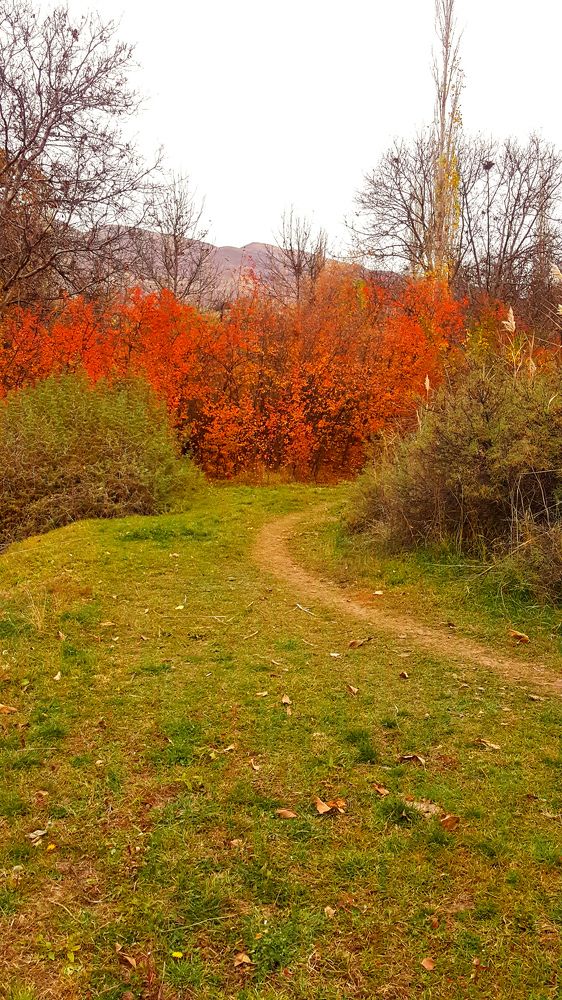 Photograph by Maryam Motlagh