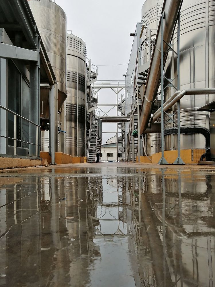 Photograph by Ирина Ри