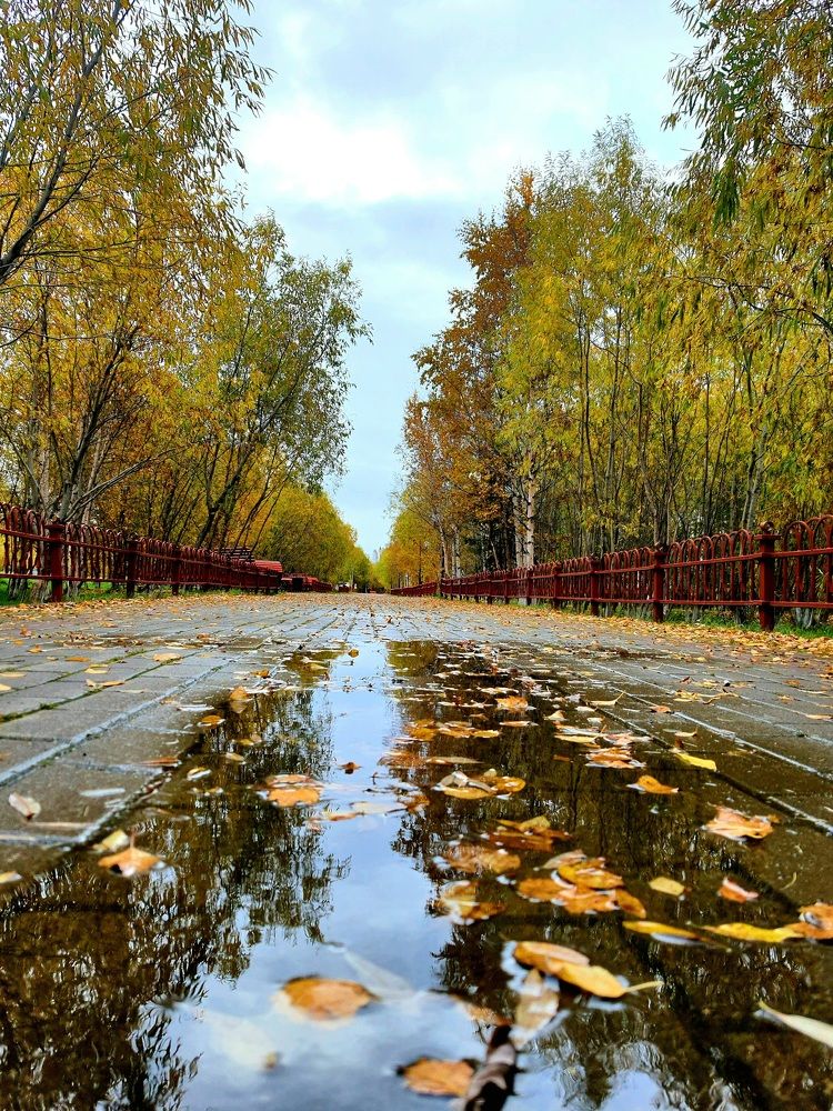 Photograph by Алёна Дегтярёва