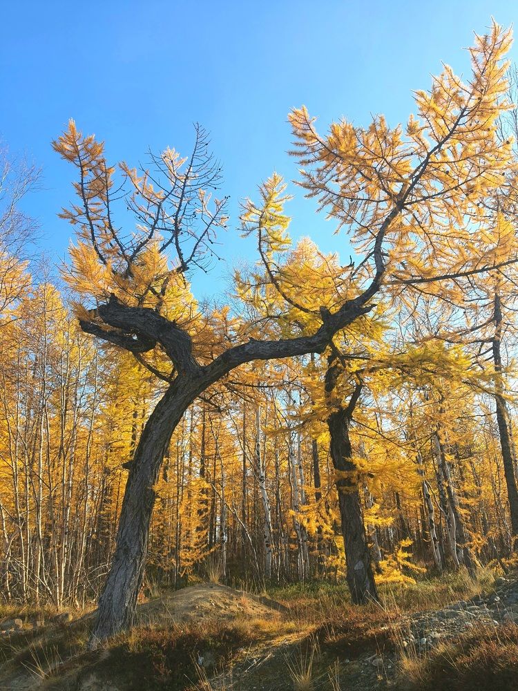 Photograph by Алёна Дегтярёва