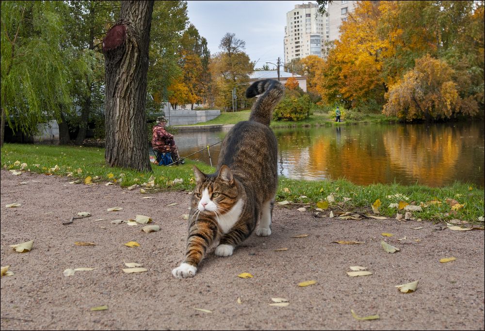 Photograph by Георгий Сапожников