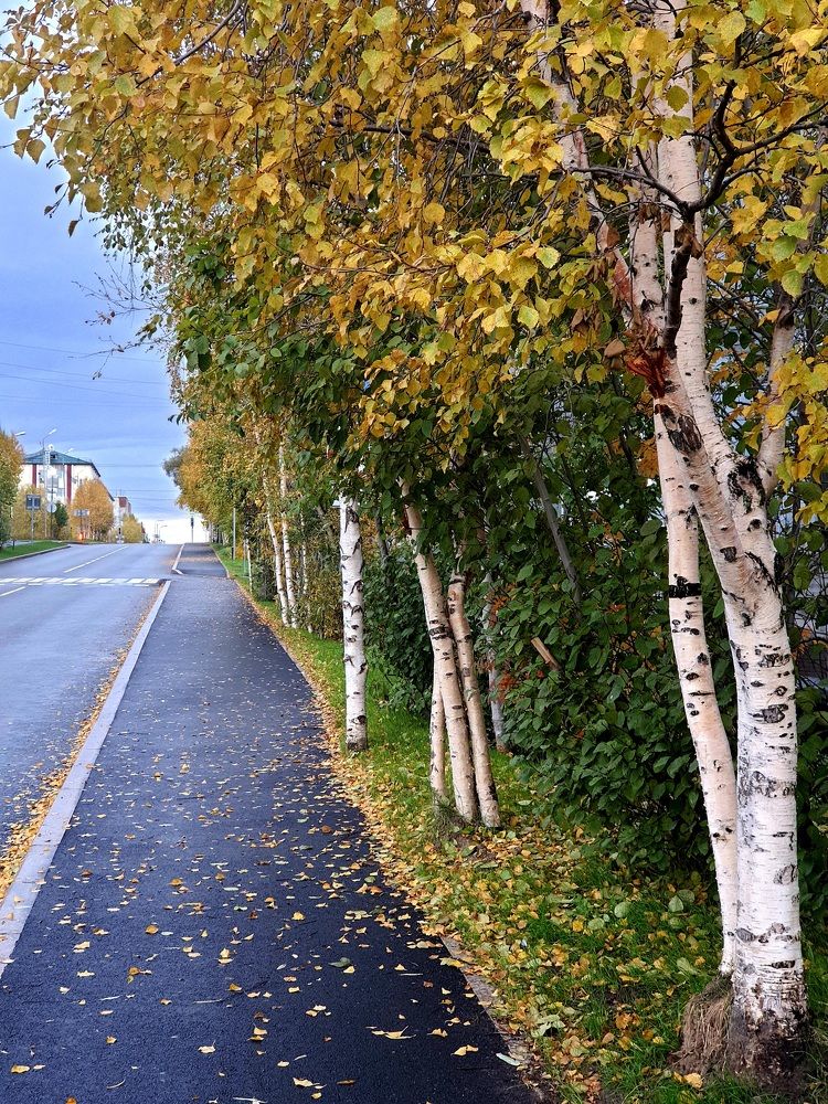 Photograph by Алёна Дегтярёва