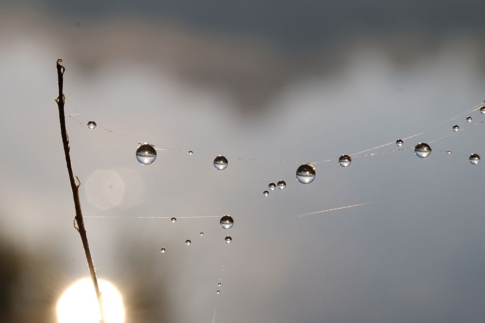 Фотография автора Александр Высоцкий