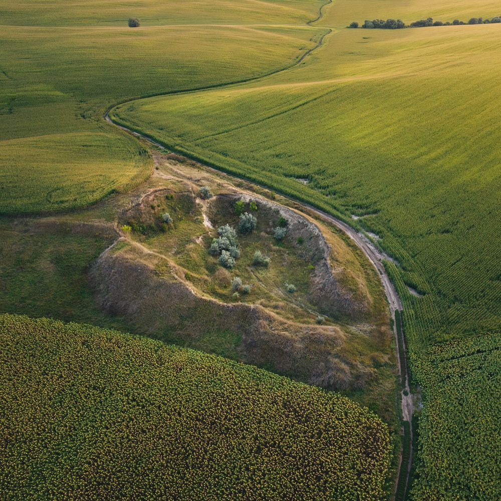 Деятельность человека на Земле неустанно меняет ее ландшафты