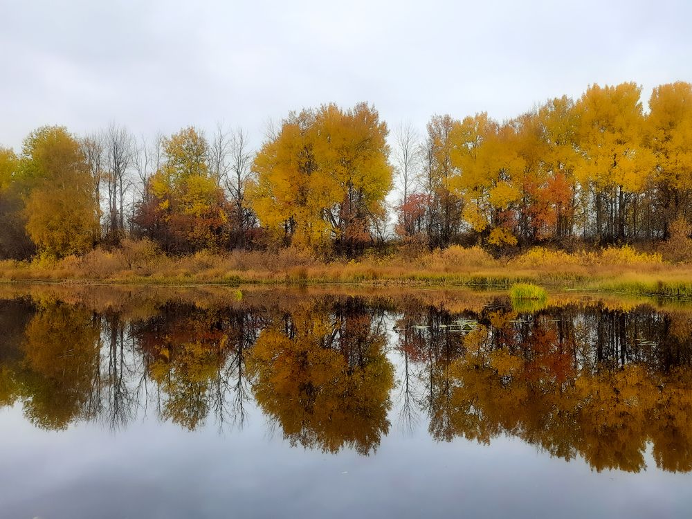 Photograph by Alex Yudnikov