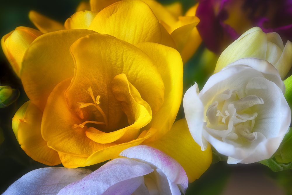 Photograph by Владимир Кваша