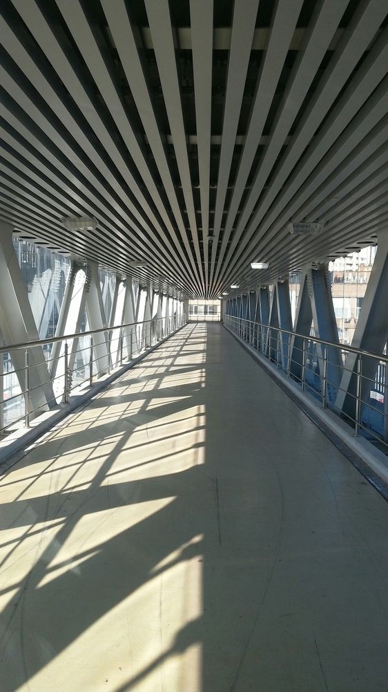 Photograph by Михаил Обертаев