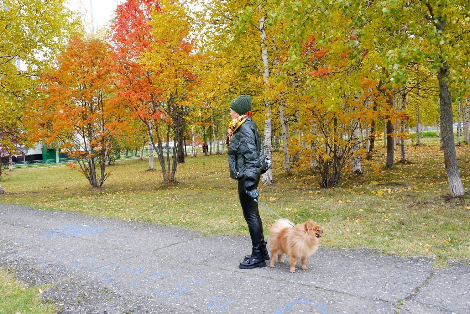 Photo #6582115