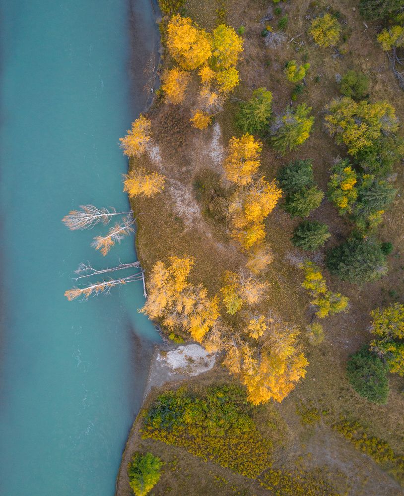 Фотография автора Филиппов Дмитрий