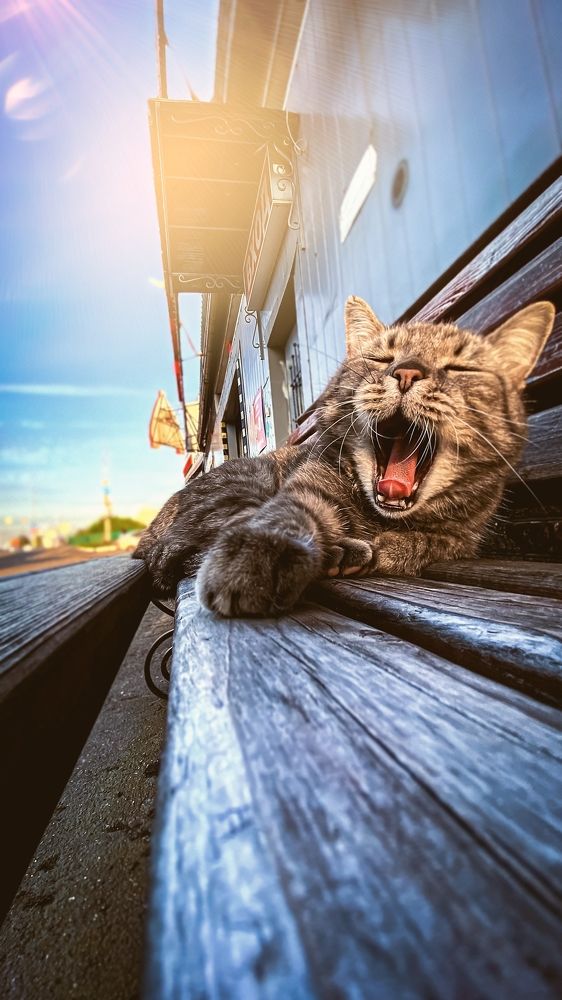 Завсегдатай автомойки