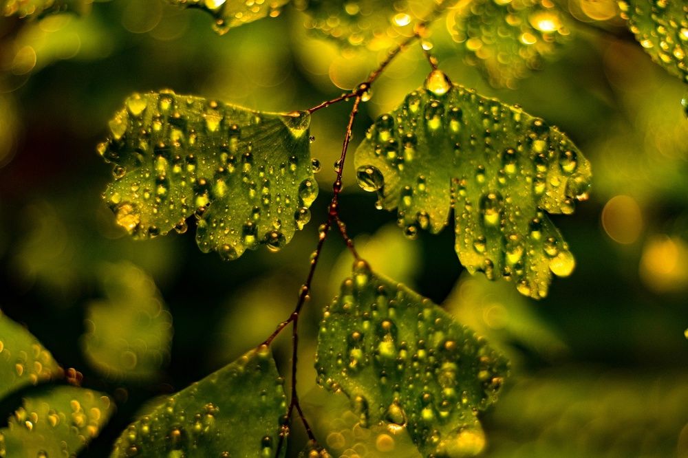Фотография автора Александр Кременицкий