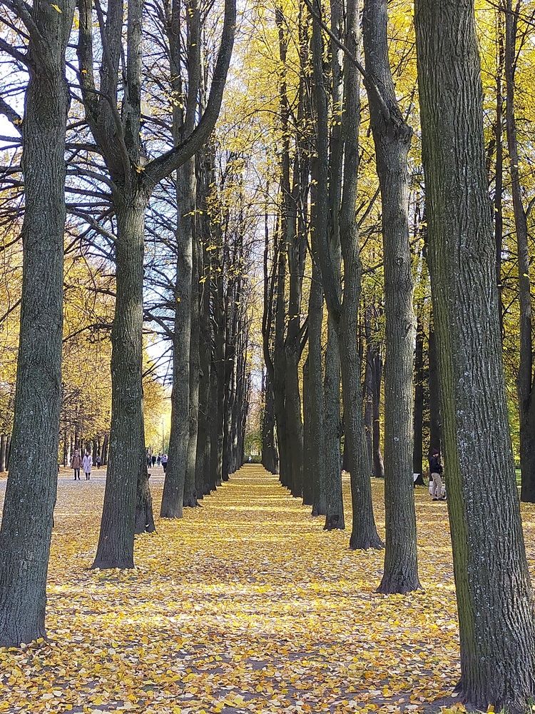 Photograph by Шикова Татьяна