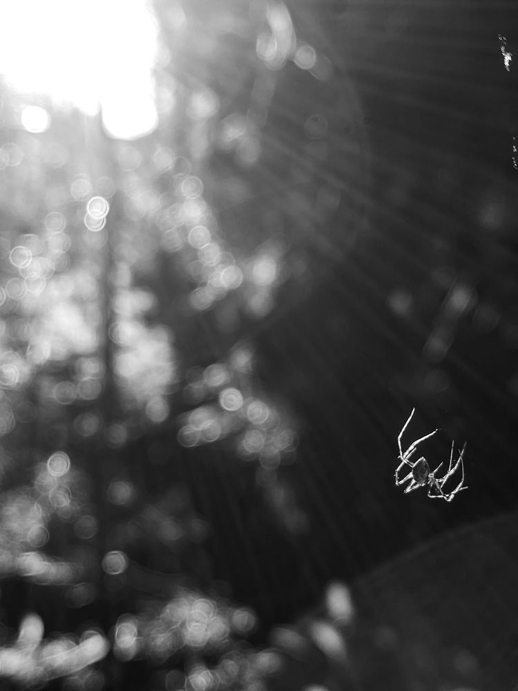 Photograph by Алан Гасымов