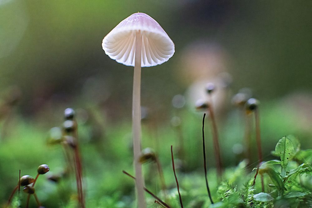 Photograph by Андрей Трубачев