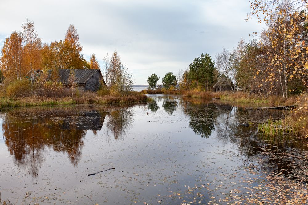 Тишина осени