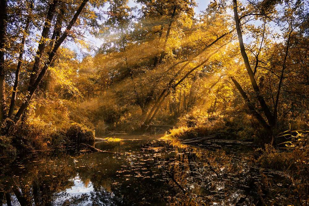 В осеннем убранстве