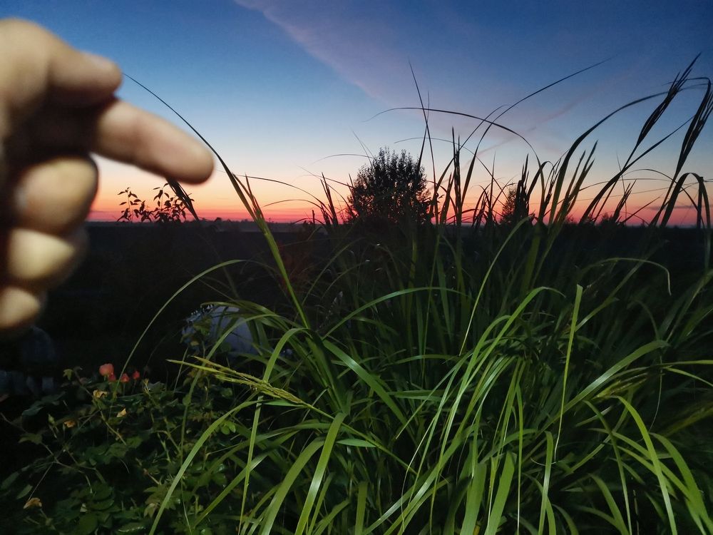 Photograph by Александр Костин