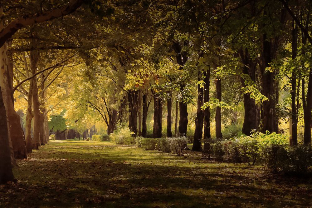 Photograph by Владимир Кульбит