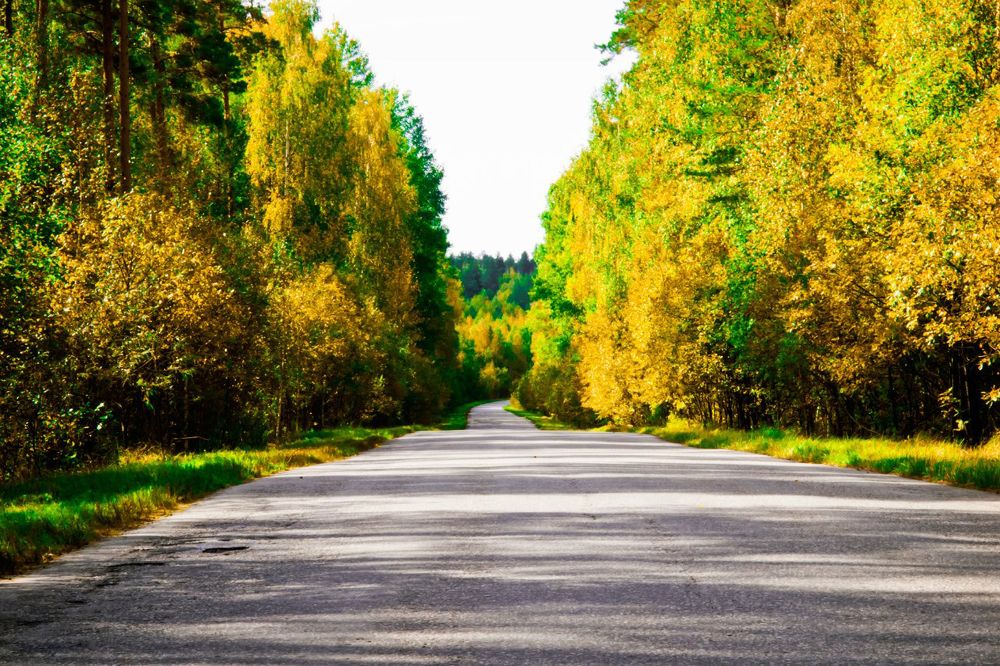 Photograph by Виталий Слёзка