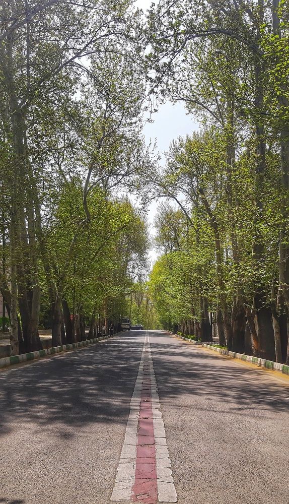 Photograph by fateme Yaghoobi
