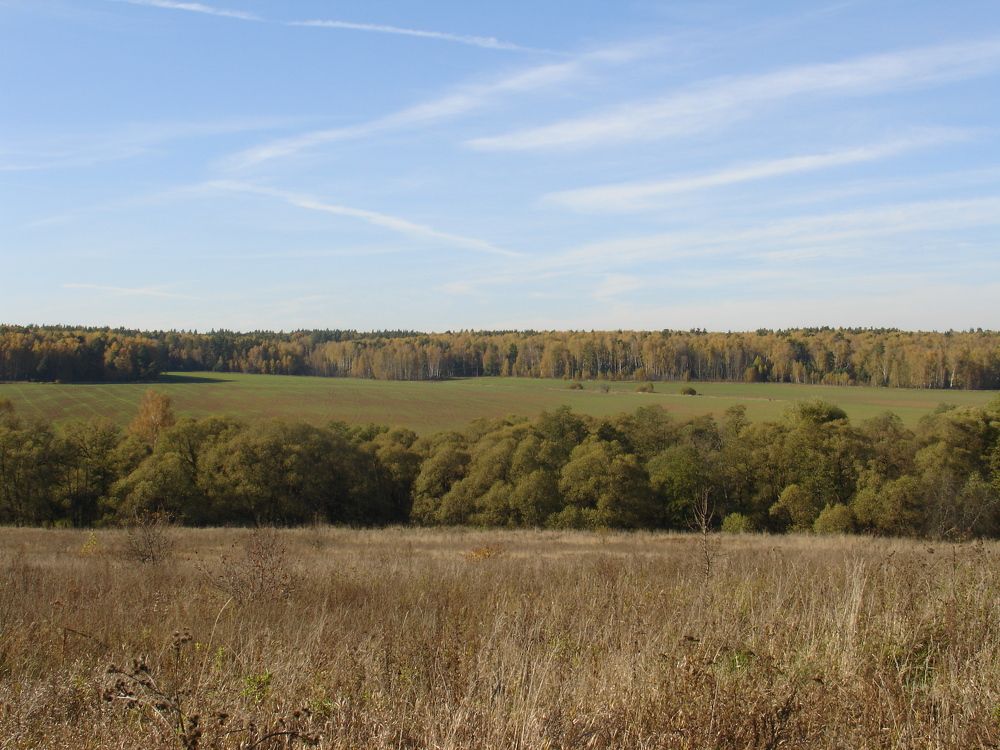 Photograph by ЕКАТЕРИНА БУЛАНОВА