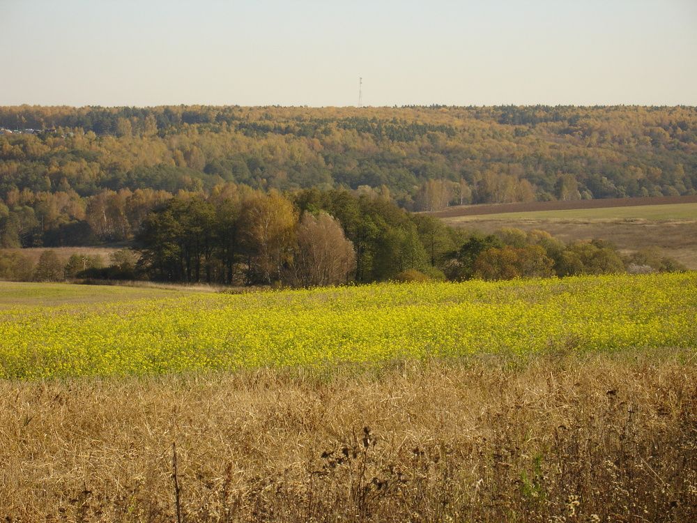 Photograph by ЕКАТЕРИНА БУЛАНОВА