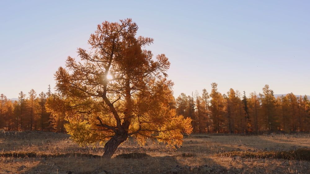 Утром в октябре