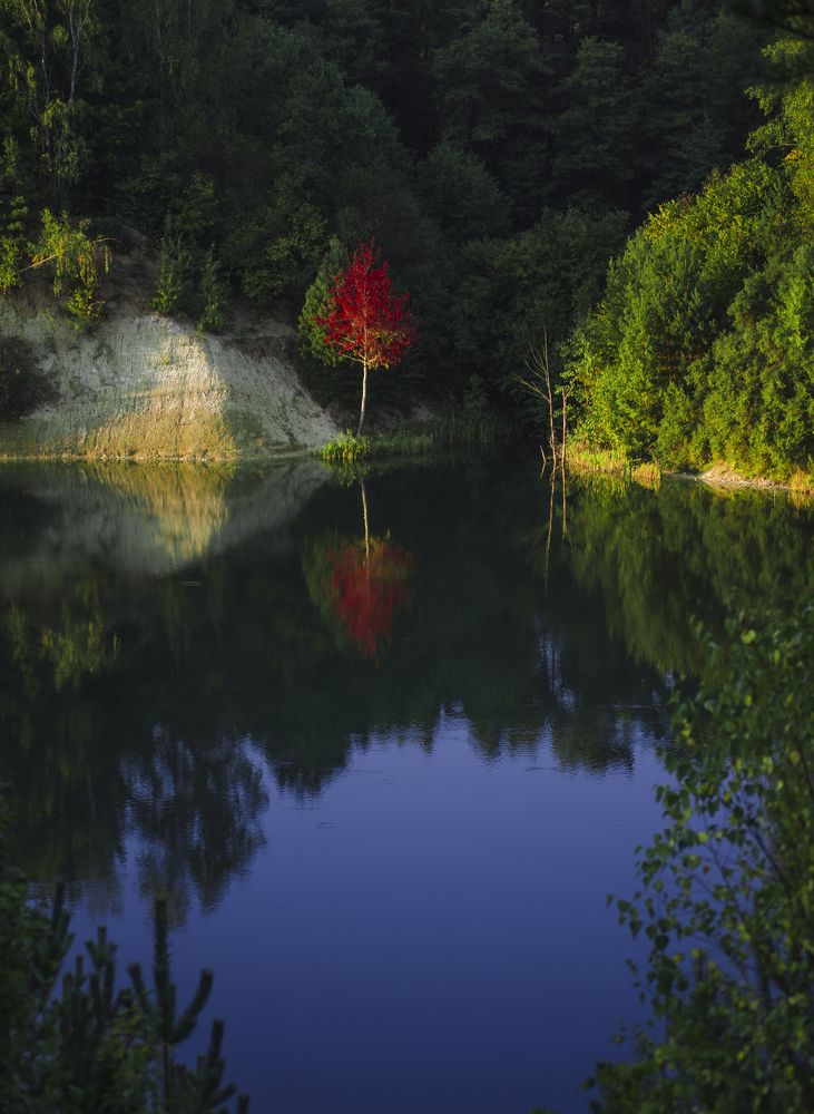 Photograph by Андрей Емельянов