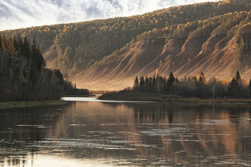 Фотография автора Лариса Кисурина