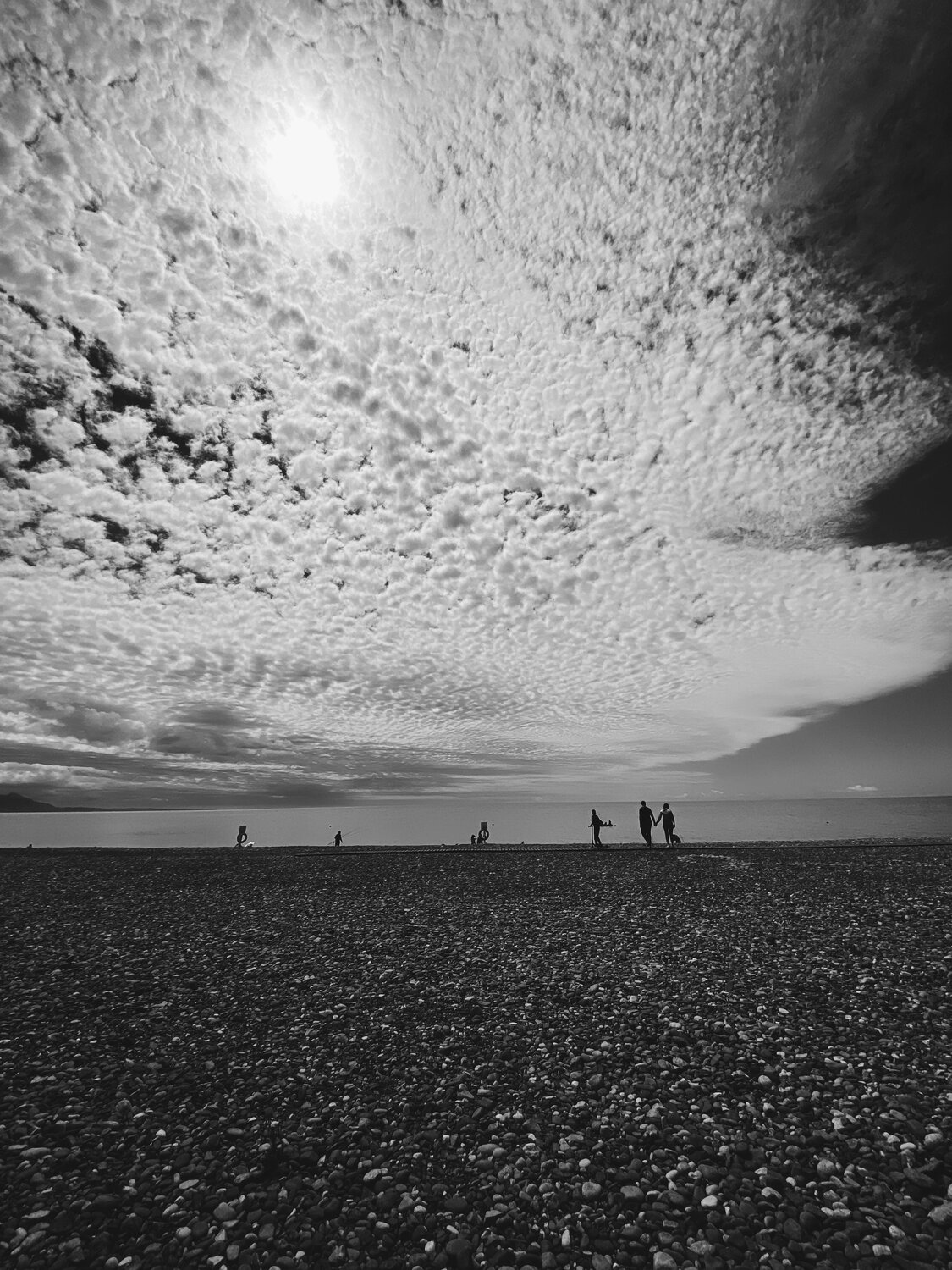 Photo #6582527
