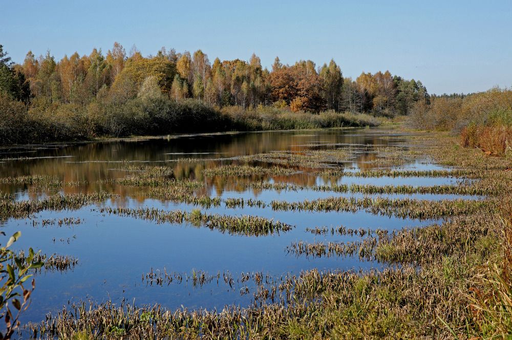 Фотография автора Николай Семенец
