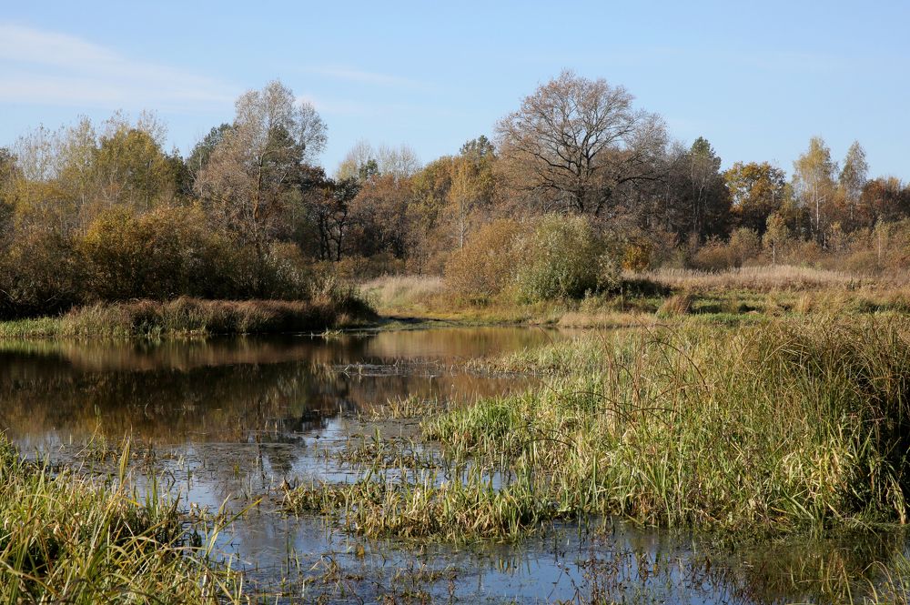 Фотография автора Николай Семенец