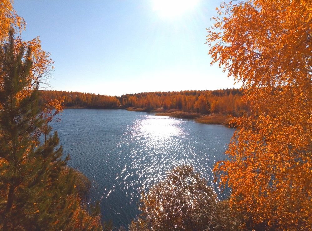 Photograph by Евгений Артемьев