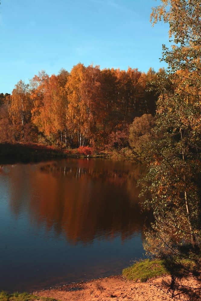 Photograph by Milla Luca