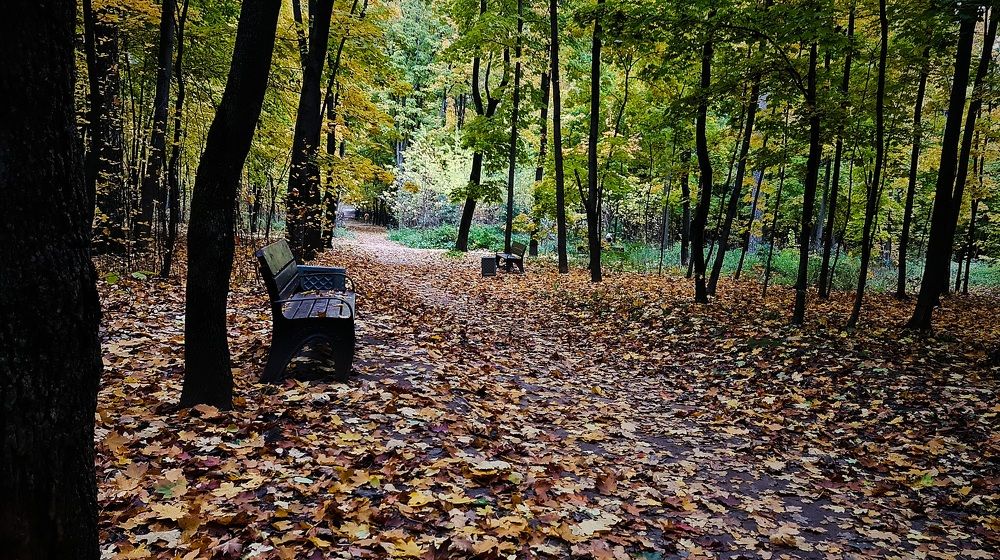 Photograph by Алина Веремеенко