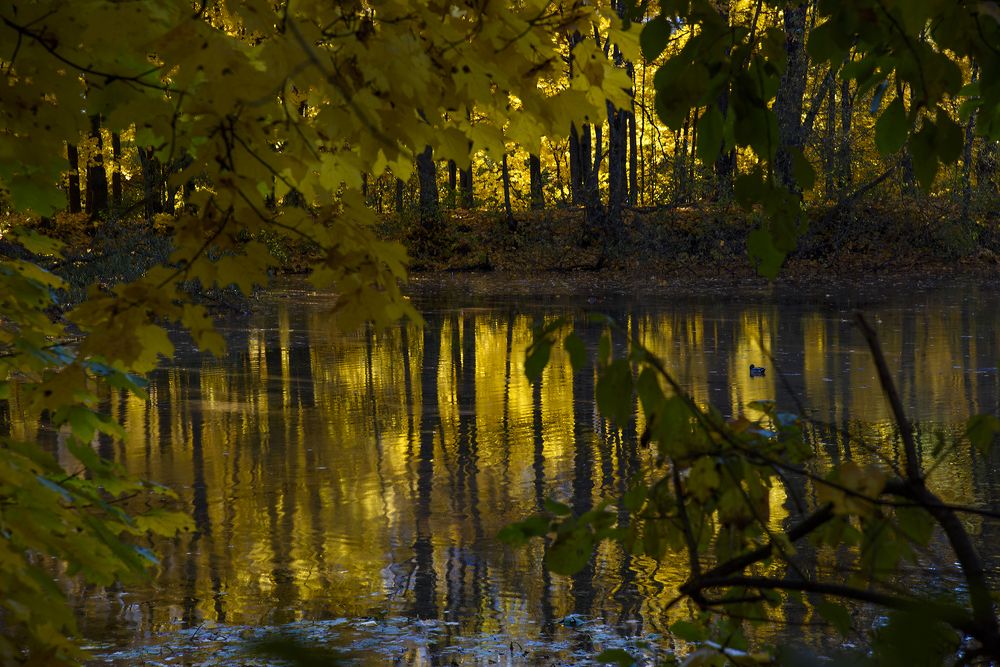 Photograph by Svetlana Khromova