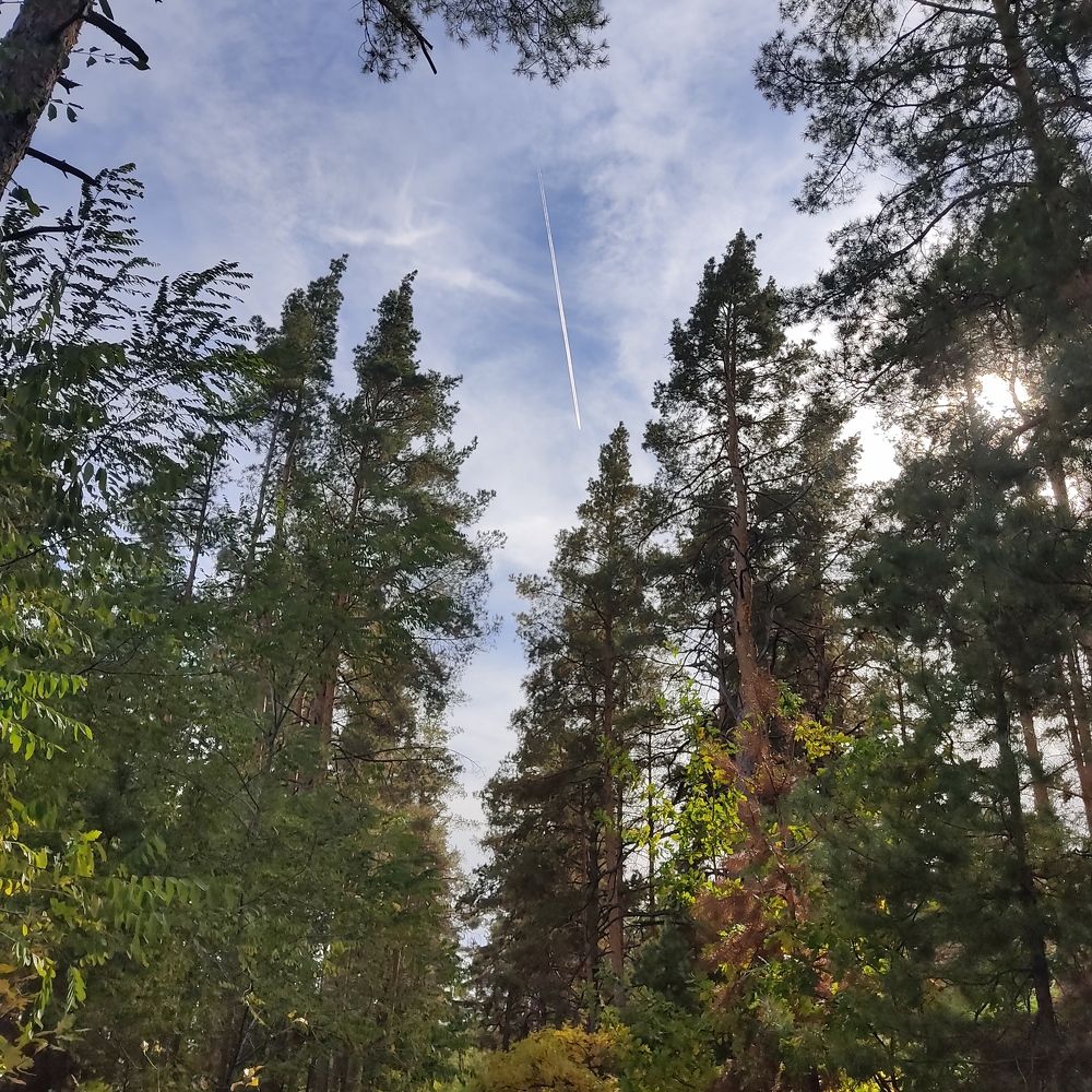 Photograph by Фаина Мирошниченко